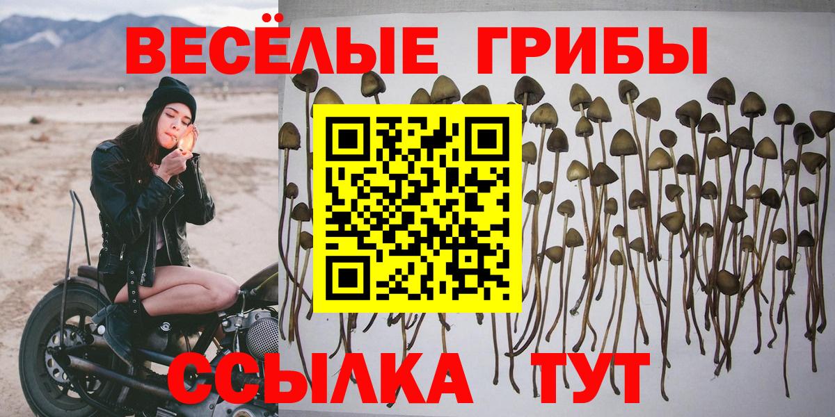 Псилоцибиновые грибы прущие грибы  Псилоцибиновые грибы ЛСД  Вход с VPN  Менделеевск 